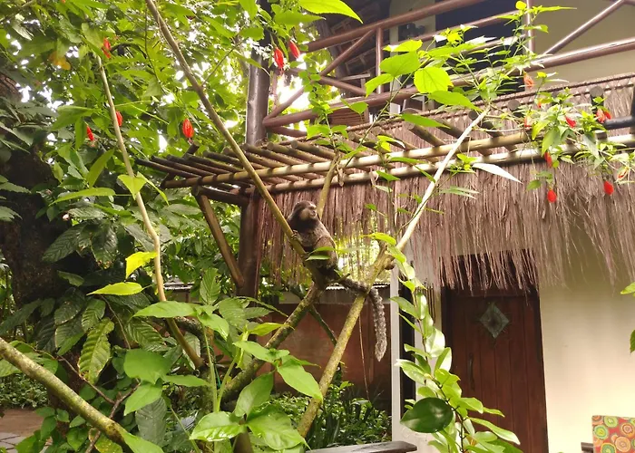 Pousada Fruta Pão Barra Grande 